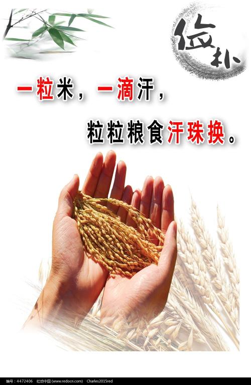 三一学院商科文凭证书